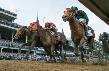 Mystik Dan joins fellow Kentucky Derby winner Mage at Airdrie Stud