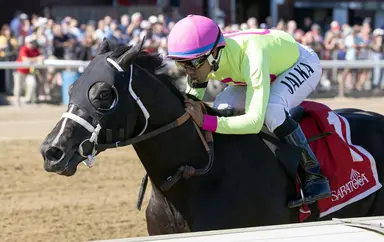 Sculcos Folly eyes New York Derby or Amsterdam Stakes