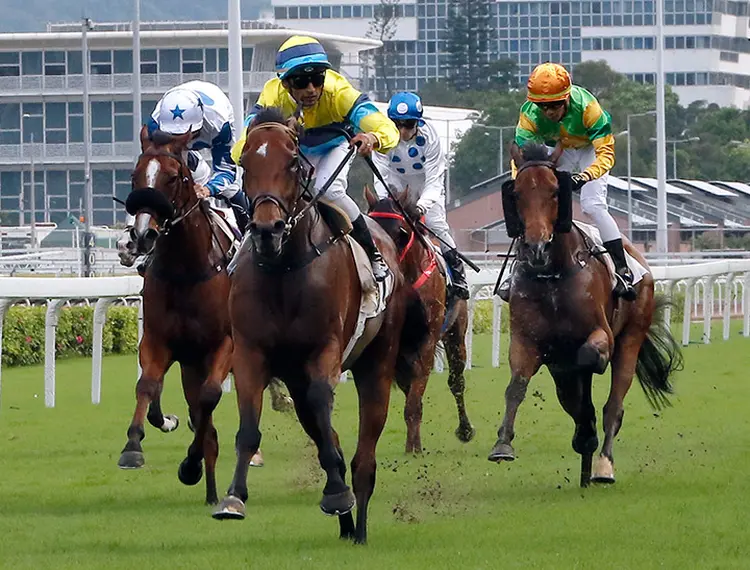 Righteous Doctrine wins the 2020 Class 2 Hoi Ha Handicap at Sha Tin