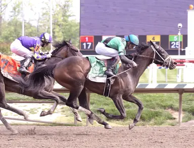 Ivy Girl ($55.40) surges late in Weber City Miss Stakes