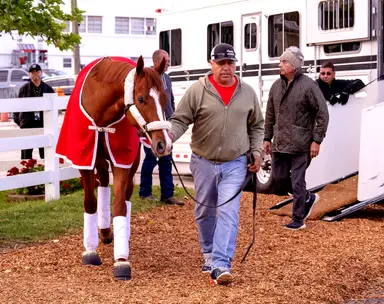 Perform works half-mile for Saturday's Preakness Stakes