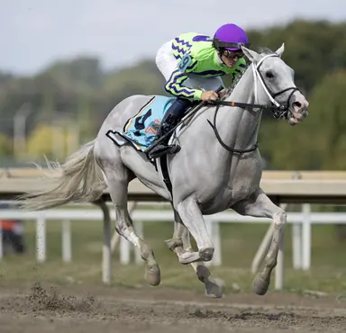 Dirt marathon ace Next back in light training, might race again