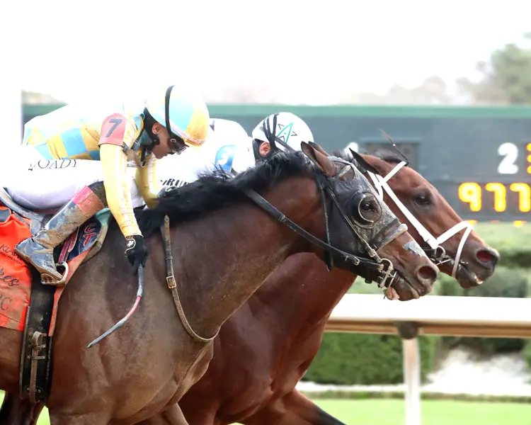 CLASS PRESIDENT - Rebel Stakes G2 - 03-01-26 - R11 - Oaklawn Park - Finish 03 - Kara West.jpg