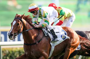 Sagacious Life soars as Shanwah seeks turnaround in Hong Kong Classic Mile