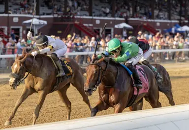 Share in Complexity to sell at Fasig-Tipton Saratoga sale