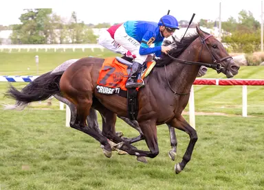 Cruise the Nile prevails in Henry S. Clark