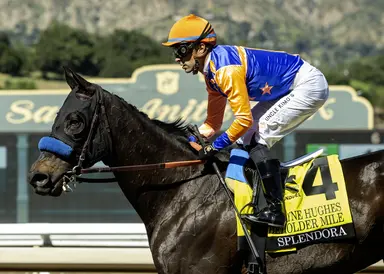 Splendora makes it look easy in Beholder Mile