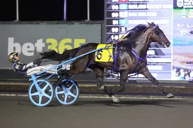 Harness: Beau Jangles brings memories of Niatross