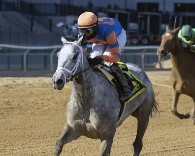 Scalable steps up again with Top Flight triumph
