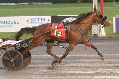 Meadowlands:  Beaton, Ryder send out favorites in NJSS finals