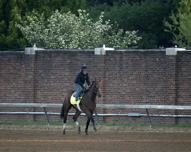 Kentucky Derby 2026: Litmus Test in as Chip Honcho will await Preakness