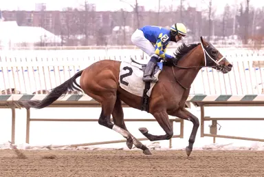 Taj Mahal steps into stakes company in second start