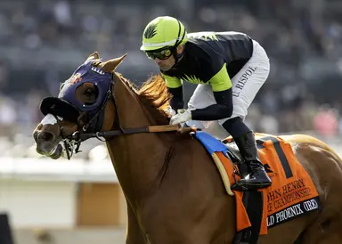 Gold Phoenix acting half his age coming into the San Marcos