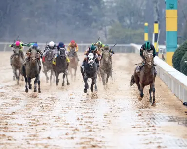 Kentucky Derby: Who's hot, who's not for Feb. 7, 2024