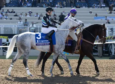 Lovesick Blues getting ready for return to training