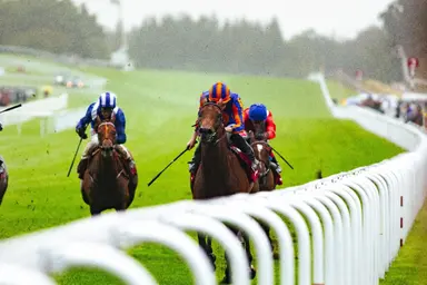 Paddington faces just three in International Stakes in bid for eighth straight