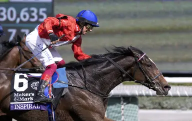 Inspiral tries to get back on track in Sun Chariot