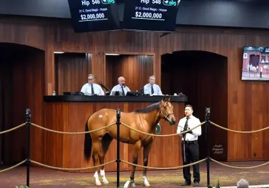 $2 million Good Magic colt ties record at second OBS juvenile session