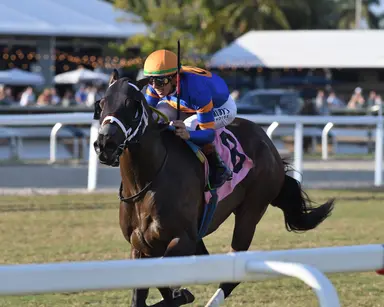 Neoequos takes to the grass with Sunshine Turf victory