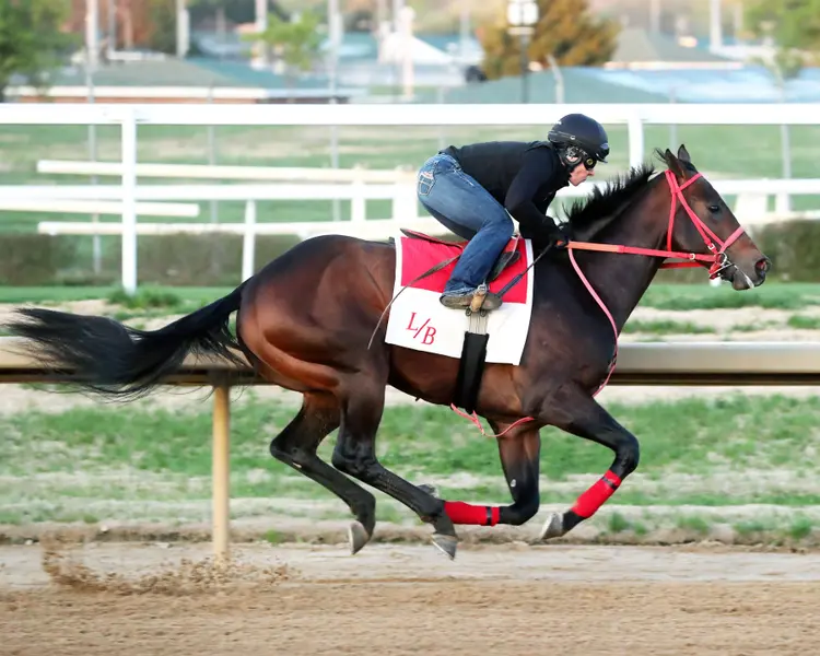 Coal Battle - Work - Churchill Downs - 04-08-25 - 002 - Renee Torbit.jpg