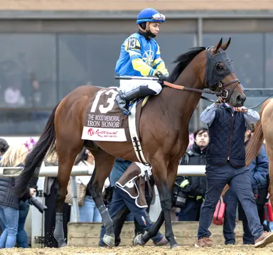 Preakness 2026: The plan remains the same, but Iron Honor is different