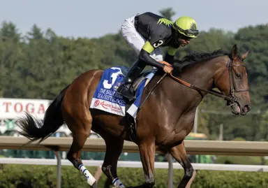 Majestic Oops begins campaign sprinting in American Beauty