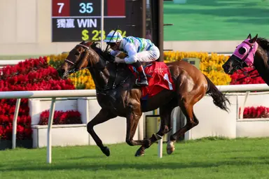 Ricky Yiu’s trio ready for LONGINES Hong Kong International Races