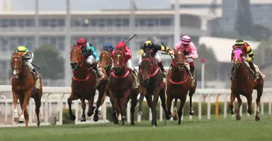 Luke Middlebrook's Hong Kong Selections and Analysis for Sunday, September 15, 2024