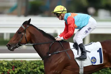 Ka Ying Rising impresses Zac Purton ahead of HKSAR Chief Executive’s Cup Handicap