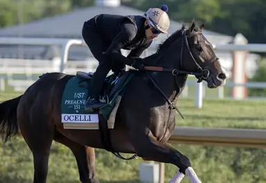 Ocelli passes on Belmont Stakes, targets Ohio Derby instead