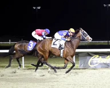 Literate, Devassa square off again in Wintergreen