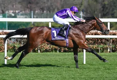 Delacroix will go his best distance in Irish Champion Stakes