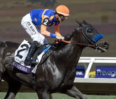 Brad Free's Del Mar Horses to Watch for week of Oct. 30-Nov. 2, 2025