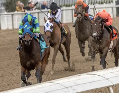 Weekend GamePlan: Picks for Whitmore, Virginia Oaks, Jimmy Winkfield