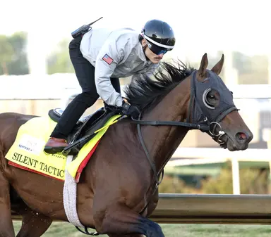 Kentucky Derby 2026: Casse expects better from a healthier Silent Tactic