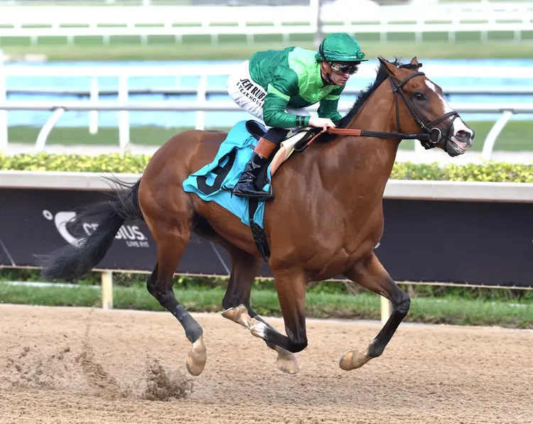 Canaletto wins debut at GP Jan 25 2026