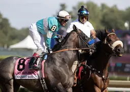 Madaket Road scratched from Pegasus World Cup