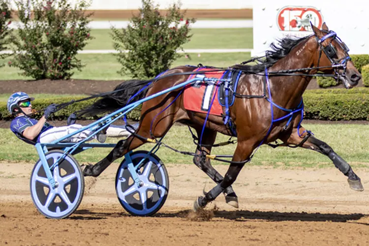 Prince Hal Hanover 9-27-25