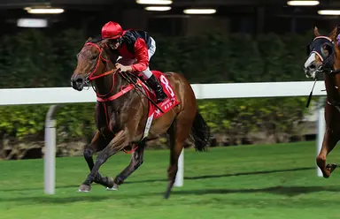 Luke Middlebrook's Hong Kong Selections and Analysis for Wednesday, Feb. 4, 2026