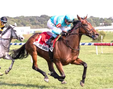 Weekend GamePlan: Picks for Jenny Wiley, Apple Blossom, Lexington