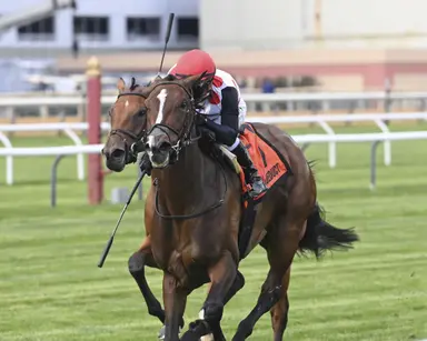 And One More Time loves cutback as Castellano notches another stakes win in Plenty of Grace