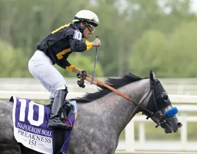 Preakness winner Napoleon Solo sold for undisclosed amount