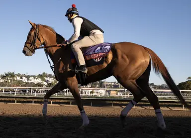 Champion She Feels Pretty retired