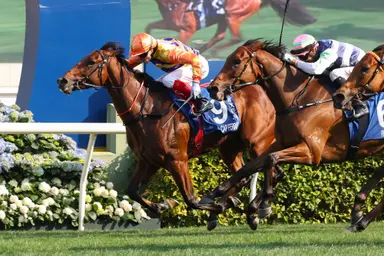 Cap Ferrat stuns with BMW Hong Kong Derby triumph