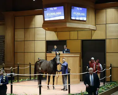 Iscreamuscream sells for $1.5 million to top Fasig-Tipton Kentucky winter mixed sale