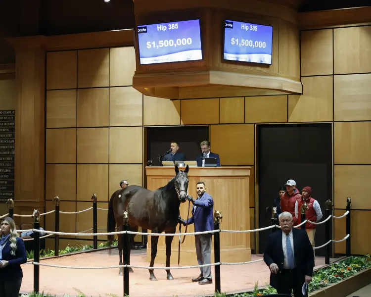 Hip385Iscreamuscream2-26FTK639.jpg