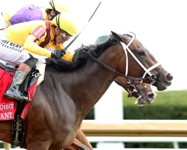 Eclatant's bob edges Grand Job in Madison Stakes