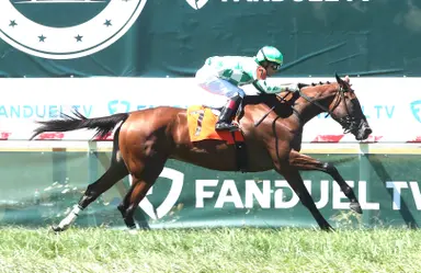 Weekend GamePlan: Picks for Tropical Park Oaks, Prairie Bayou, New York Stallion Stakes