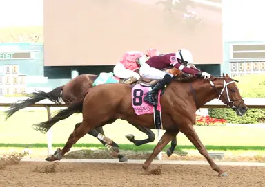 Weekend GamePlan: Picks for Oaklawn Handicap, Elkhorn, Bathhouse Row