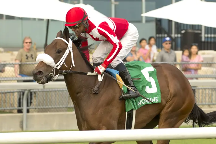 War Painter wins the Victorian Queem at WO Sept 24 2023